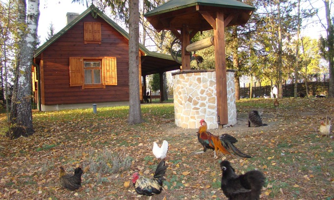 Narewka Chalet De Esquí | Casa de campo autónoma en el bosque de Bialowieża