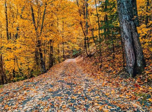 Wears Valley Casa | Autumn Retreat - 1 mi to GSMNP - Bears, Pool, Hot Tub, King Suite & Loft