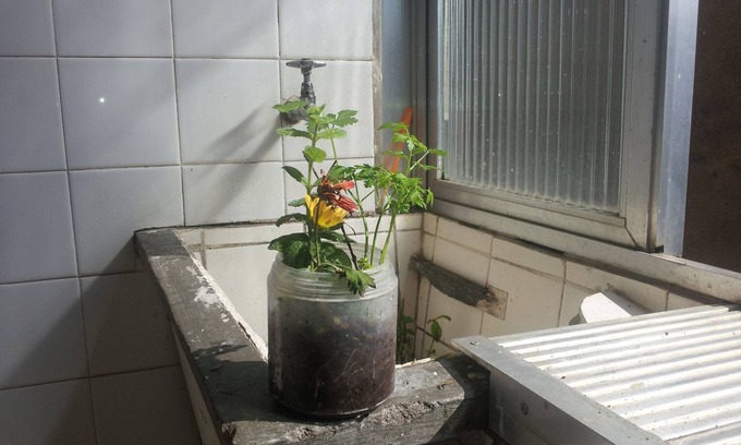 Cristo Redentor Apartamento | Puedo alquilar 1 dormitorio y un baño amueblado.