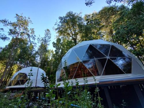 Villarrica Cabina | Ayün Lodge