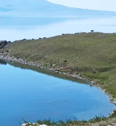 Naryn Region Casa | Aziskan guest House, and riding horse Son-Kol