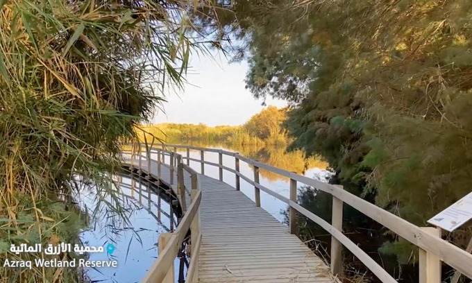 Azraq Cabina | Azraq Lodge