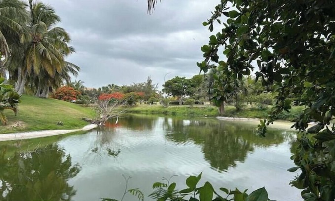 Punta Cana Apartamento | Bávaro, Cocotal Stylish 2 Bdr- Pool & Near Beach