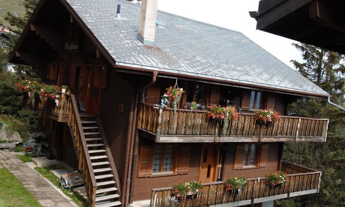 Bettmeralp Apartamento | Bärgblüemli 2. OG Ost by Interhome