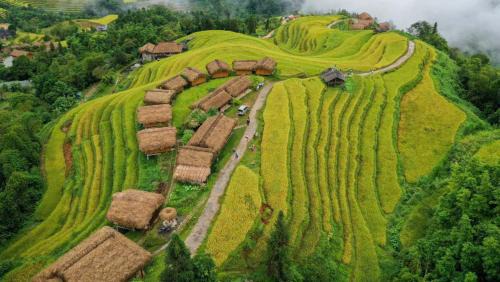 Thong Nguyen Cabina | Bình Minh Homestay