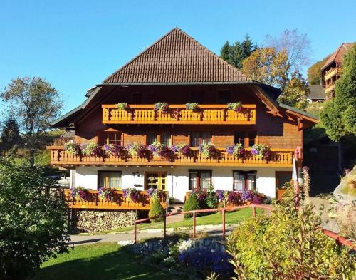 Todtnau Apartamento | Bühlhof Todtnauberg Wohnung 3