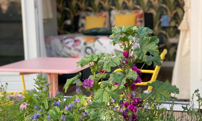 Wolphaartsdijk Cama Y Desayuno | B&B Bij Kaatt