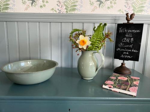 Falkenberg Cama Y Desayuno | B&B Bland ormbunkar och rosor