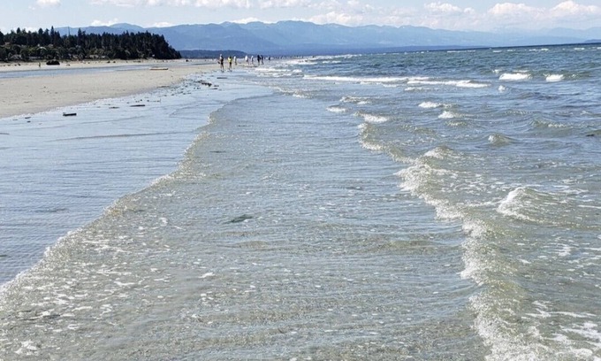 Regional District of Nanaimo Casa | B&B Columbia Beach, 2min WALK to ocean, queen bed, 45' parking, pets welcome