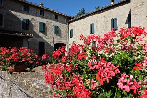 Neviano degli Arduini Apartamento | B&B Cortebonomini apartment