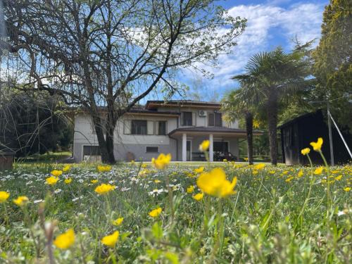 Rivarotta Cama Y Desayuno | B&B Da Leone