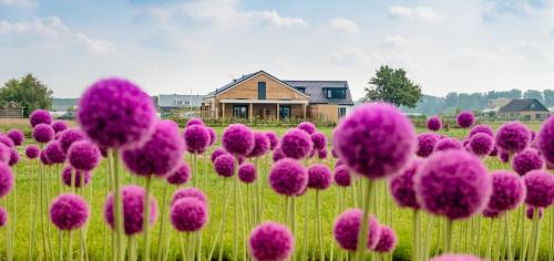 Noordwijk Cama Y Desayuno | B&B de Cley