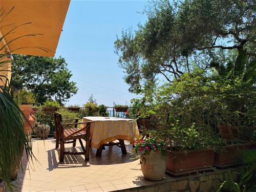Praia a Mare Cama Y Desayuno | B&B dei Fiori