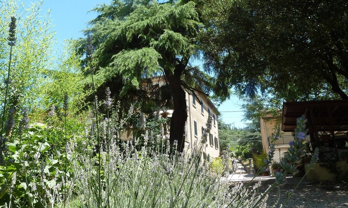 Riccio Cama Y Desayuno | B&B Gabri