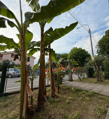 Imola Cama Y Desayuno | B&B Il Balcone Fiorito