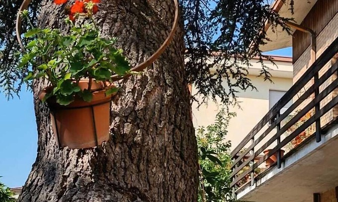 Foligno Cama Y Desayuno | B&B Il Cedro