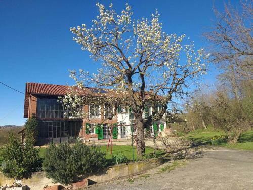 Castelnuovo don Bosco Cama Y Desayuno | B&B Il vecchio pero