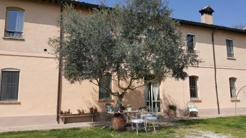 Russi Cama Y Desayuno | B&B La Palazza