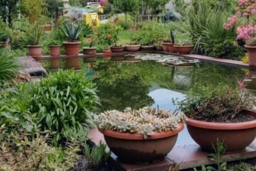 Rancio Valcuvia Apartamento | B&B Vegan La Mucca felice - Grazioso appartamento nel verde