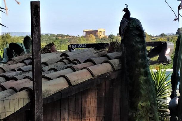 Agrigento Casa | B&B Villa San Marco