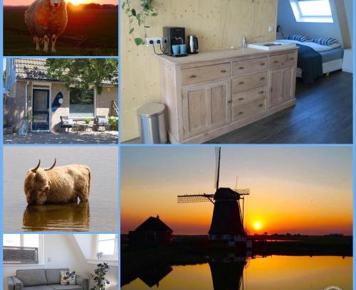 Municipality of Texel Cama Y Desayuno | B&B Zonnedael