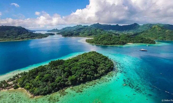 Huahine Cama Y Desayuno | B & Bee Wild Island - Nature Song