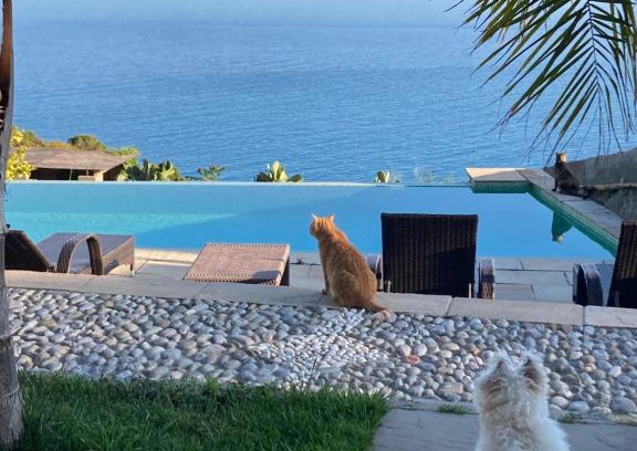 Ventimiglia Cama Y Desayuno | B&Bilfortesulmare