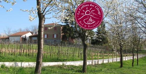 Cassano Spinola Cama Y Desayuno | B&BLa collina dei ciliegi