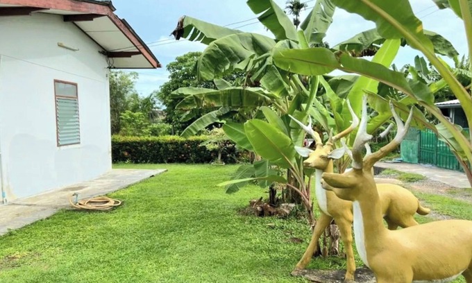 Kathu Villa | Baan Bonsuan Hill Guesthouse