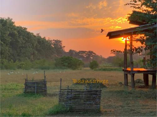 Nong Chang Casa | Baansahree Farmstay