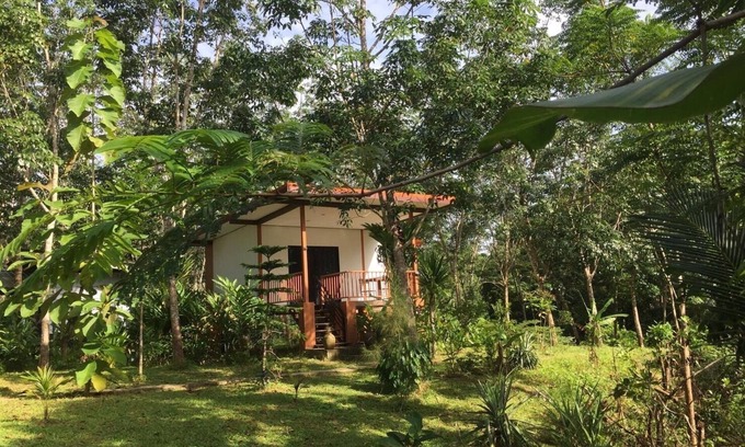 Ban Wang Hom Otro | Baansuan Suksangob Farm Stay