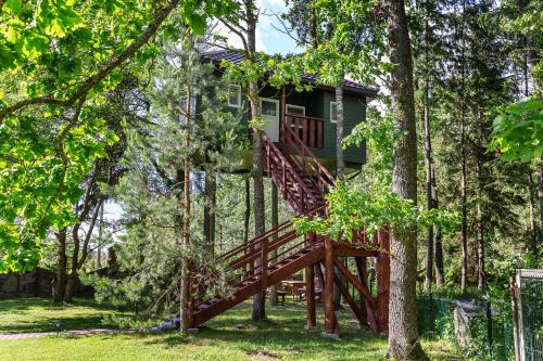 Kurtuvenai Cabina | Baba Yaga Treehouse