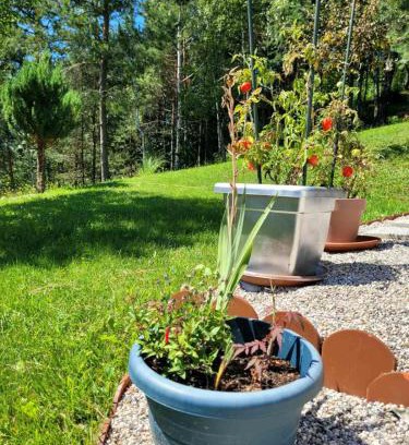 Vidrga Casa | Babičina hišica