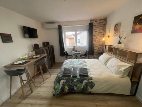Chasse-sur-Rhone Apartamento | BACH studio BALNEO au calme parking gratuit