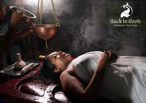 Irinjalakuda Complejo | Back to Roots Ayurveda Retreat
