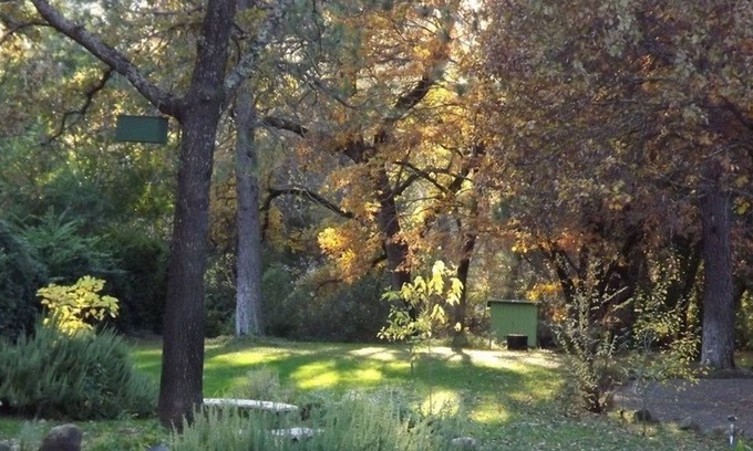 Middletown Cabaña | Backyard Garden Oasis
