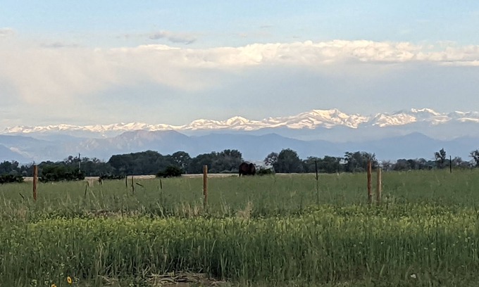 Commerce City Apartamento | Bad Dog Farm - 420 Tranquil retreat, minutes from major retail and restaurants