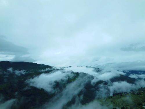 Almora Casa | Badriniwas homestays