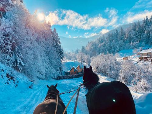 Yaremche Chalet De Esquí | BagriWood Lodges (Лоджі БагріВуд)