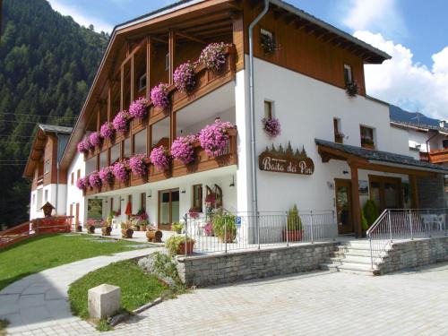 Campodolcino Apartamento | Baita dei Pini