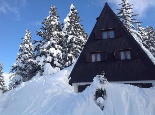 Tesero Chalet De Esquí | Baita Giggia sulle piste - Cavalese in Trentino Alto Adige cottage chalet