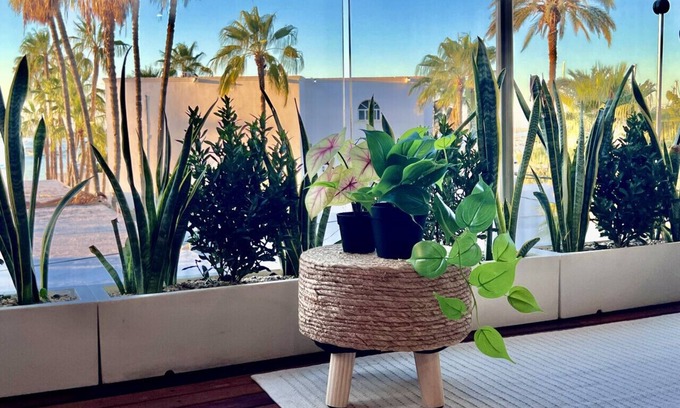 El Manglito Apartamento | Baja Dreamscape by Porto Vacanze @ Laiva