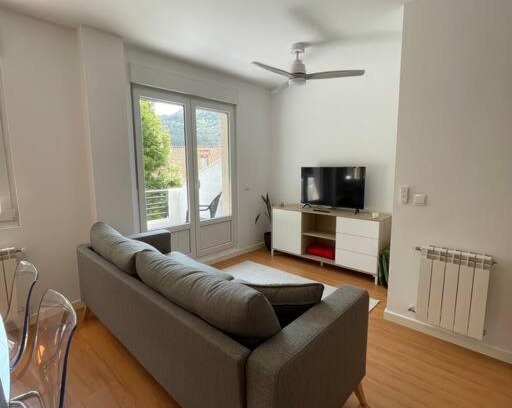 Limpias Apartamento | Bajo con Terraza Asón River