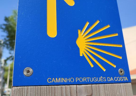 Vila do Conde Apartamento | Balada dos Mares Vila