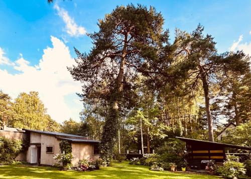 Jurmala Apartamento | Baltic Sea Cottage