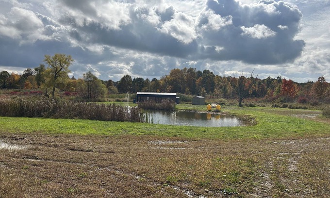 Wayland Cabina | BAM Acres Cabin