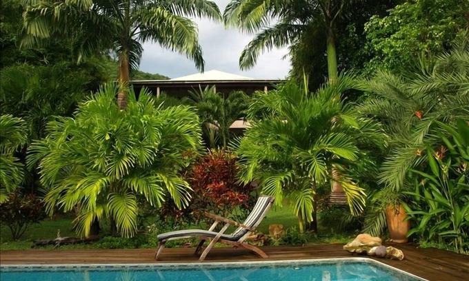 Falmouth Harbour Casa | Jardín de bambú - Falmouth Harbour