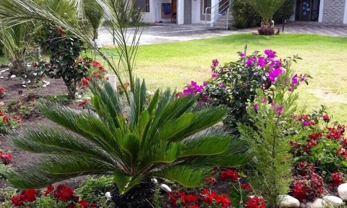 Tumbaco Hotel | Bamboo Village Place