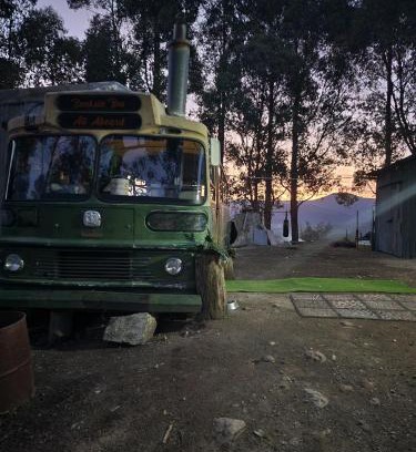 Southern Alquiler De Eote | Banksia Bus