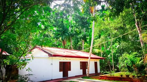 Rumassala Casa | Banksia Villa